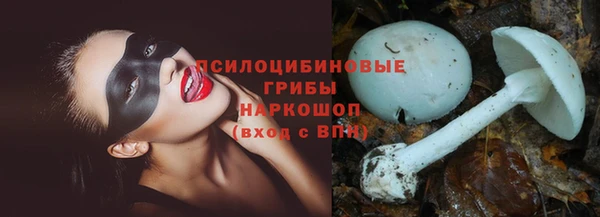 а пвп мука Алзамай
