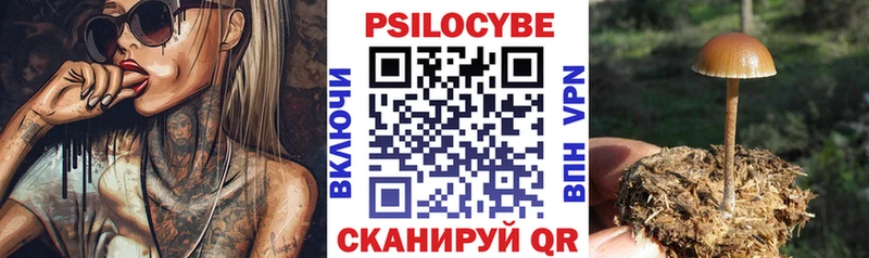 Псилоцибиновые грибы мухоморы Купить закладки Гаврилов-Ям
